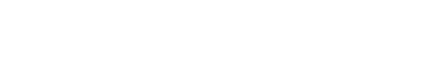 Vision Flow